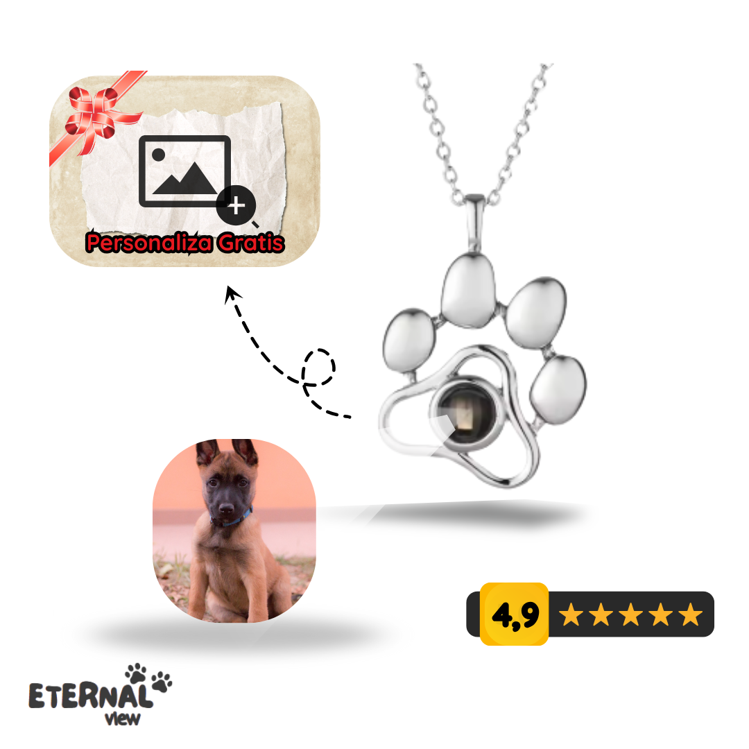 Collar Proyección Personalizado